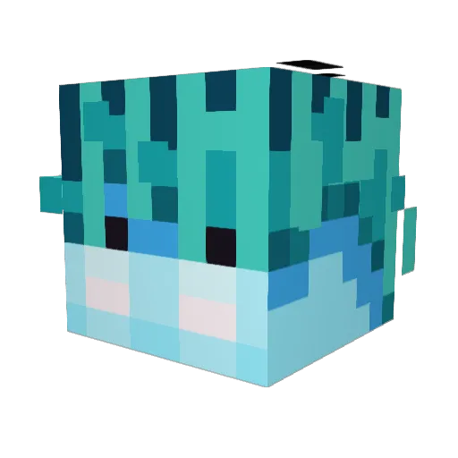 Veil_Bail Minecraft avatar head, 3D render