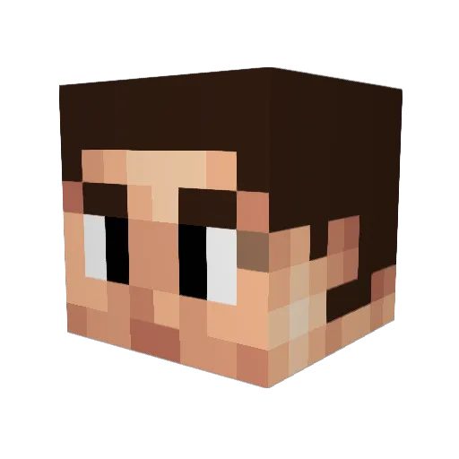 VeiledBurrito Minecraft avatar head, 3D render