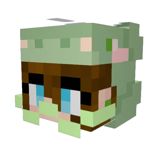 VeiledChameleonz Minecraft avatar head, 3D render