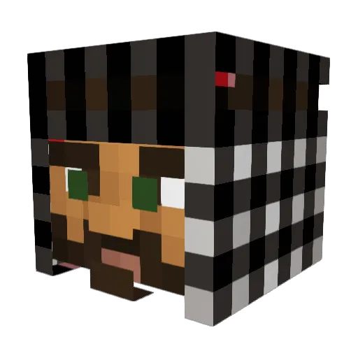 VeiledV Minecraft avatar head, 3D render