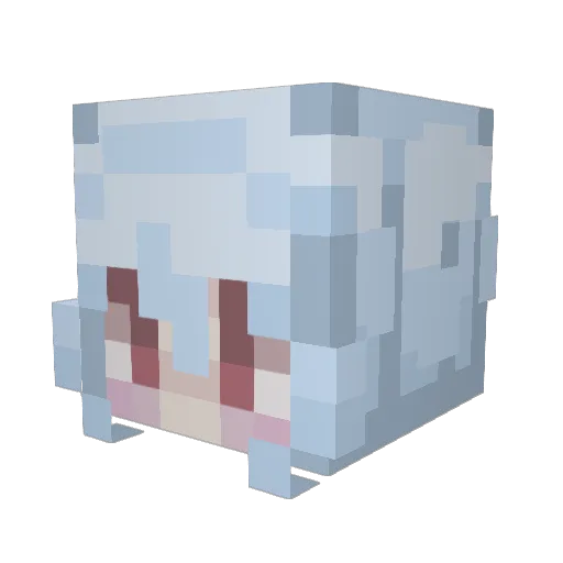 Veilma Minecraft avatar head, 3D render