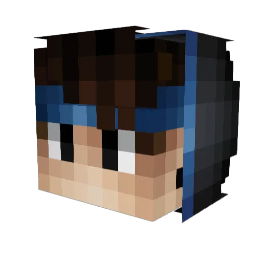 VeinBlack06 Minecraft avatar head, 3D render