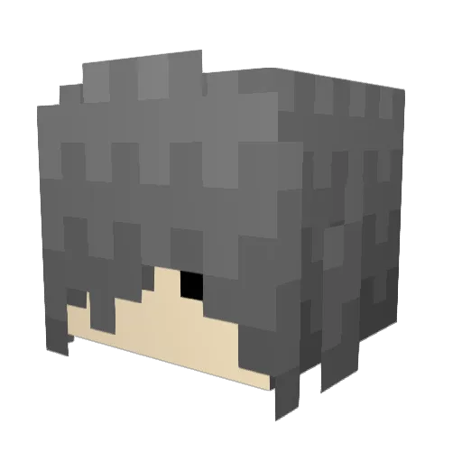Vein_vein Minecraft avatar head, 3D render