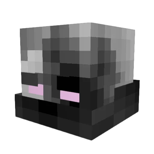 Vejazz Minecraft avatar head, 3D render