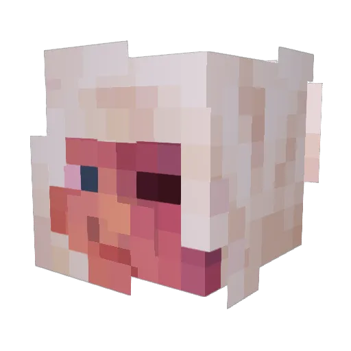 VektorVaughn Minecraft avatar head, 3D render