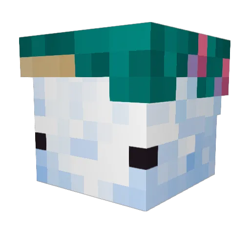 Vel0ria_ Minecraft avatar head, 3D render