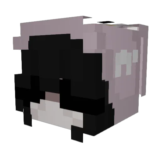 Velalyn Minecraft avatar head, 3D render