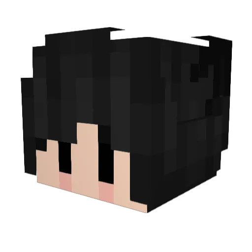 Velgrynz Minecraft avatar head, 3D render