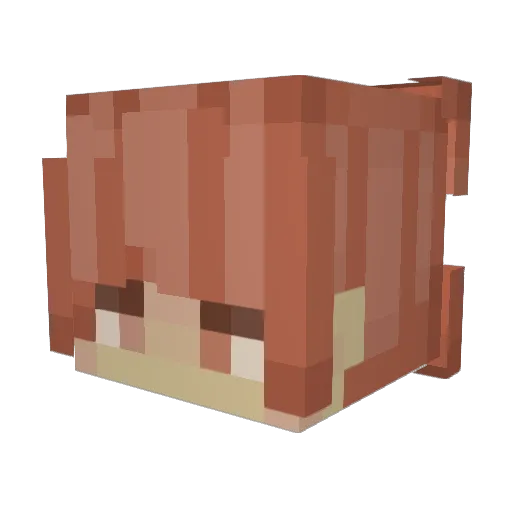 Velho15 Minecraft avatar head, 3D render