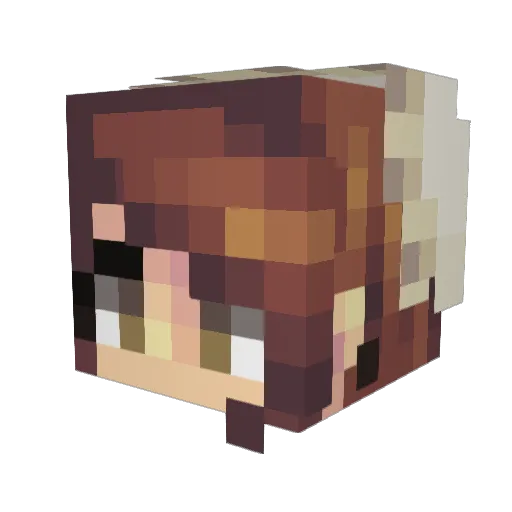 Velinnadrys Minecraft avatar head, 3D render