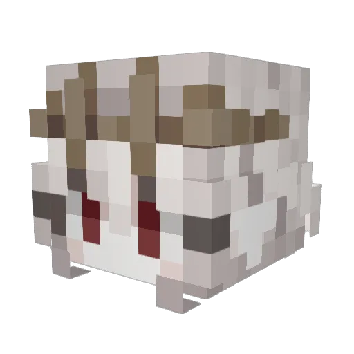 Velira_ Minecraft avatar head, 3D render