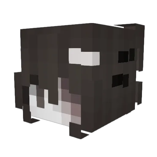 Veljko730 Minecraft avatar head, 3D render