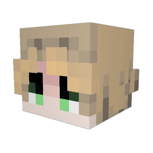 Velkalarus Minecraft avatar head, 3D render