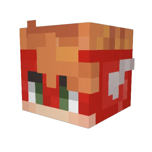 VellTiger Minecraft avatar head, 3D render