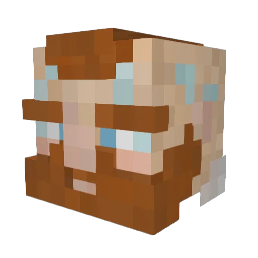 Velmorlin Minecraft avatar head, 3D render