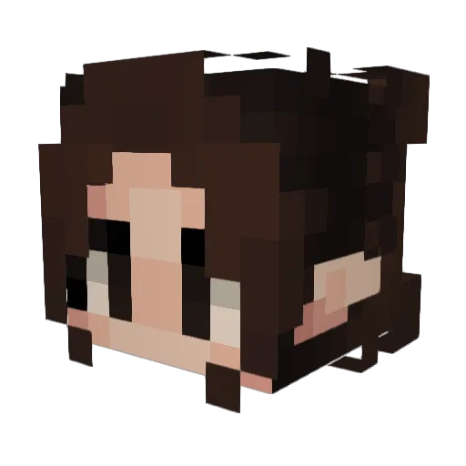 VelocityGirl5 Minecraft avatar head, 3D render