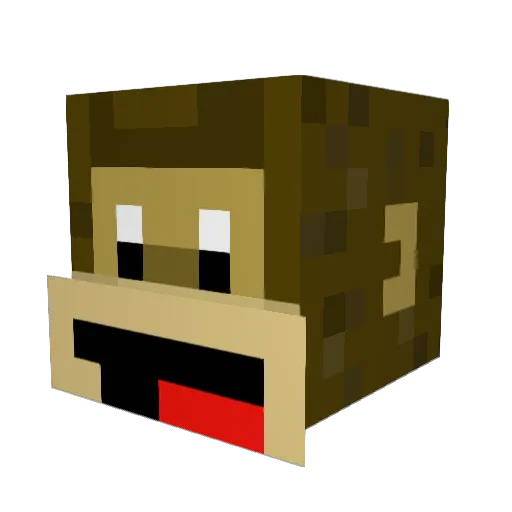 Velorider117 Minecraft avatar head, 3D render