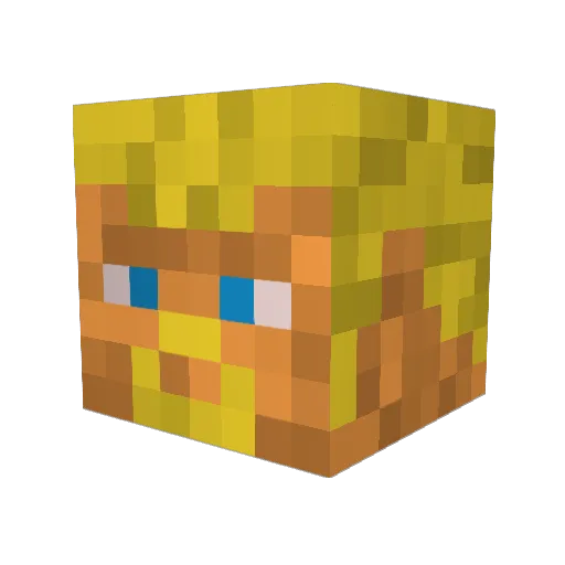Velsen Minecraft avatar head, 3D render