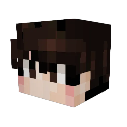 Velusivee Minecraft avatar head, 3D render
