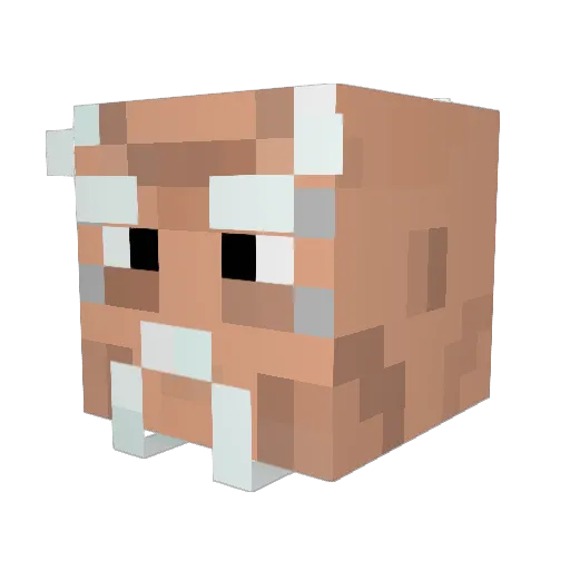 Velygudleh Minecraft avatar head, 3D render