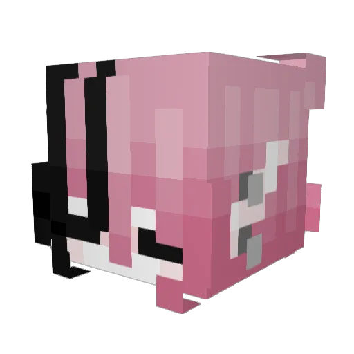Velyxn Minecraft avatar head, 3D render