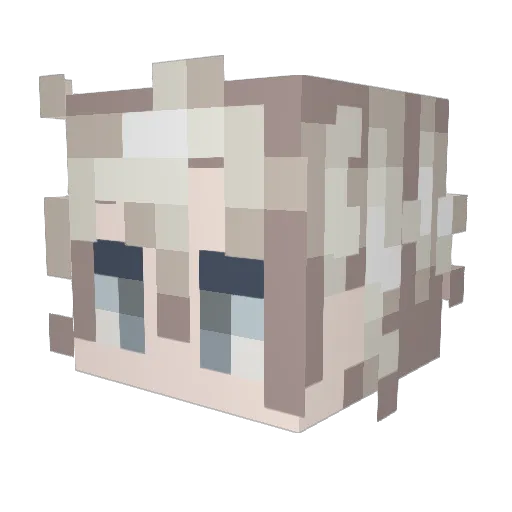 Vem_ Minecraft avatar head, 3D render