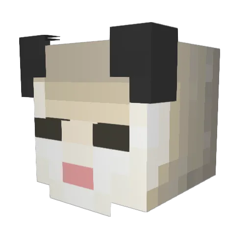 VemberCrow Minecraft avatar head, 3D render