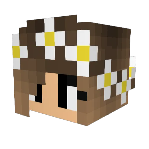 Ven26 Minecraft avatar head, 3D render