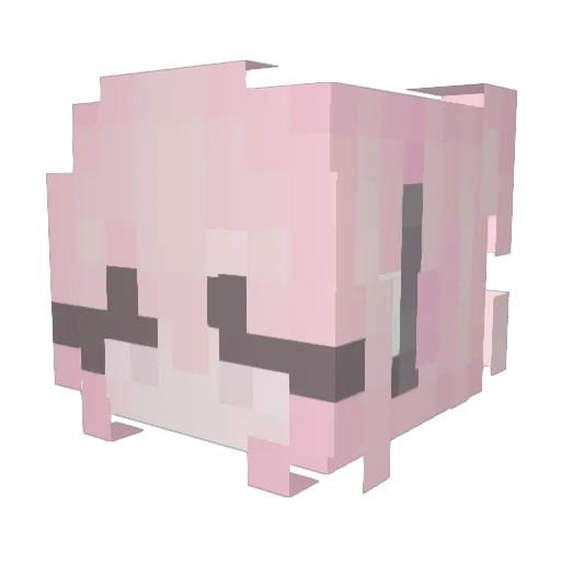 VenVinity Minecraft avatar head, 3D render
