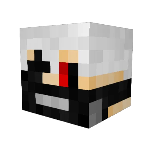 Ven_Sap Minecraft avatar head, 3D render