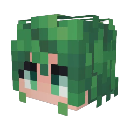 Venalitas Minecraft avatar head, 3D render