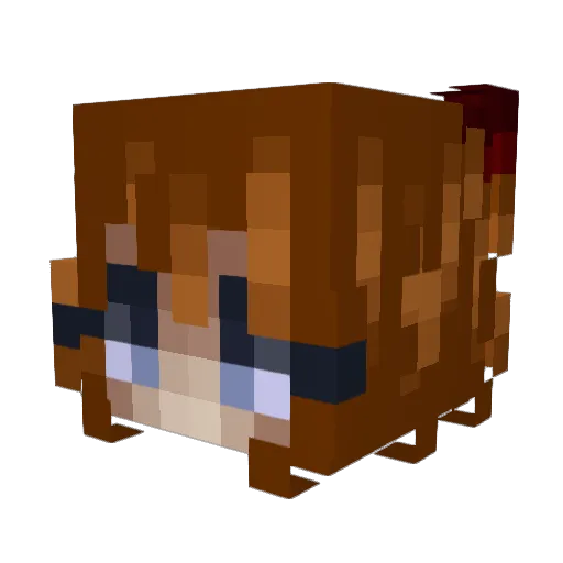Vendaci Minecraft avatar head, 3D render
