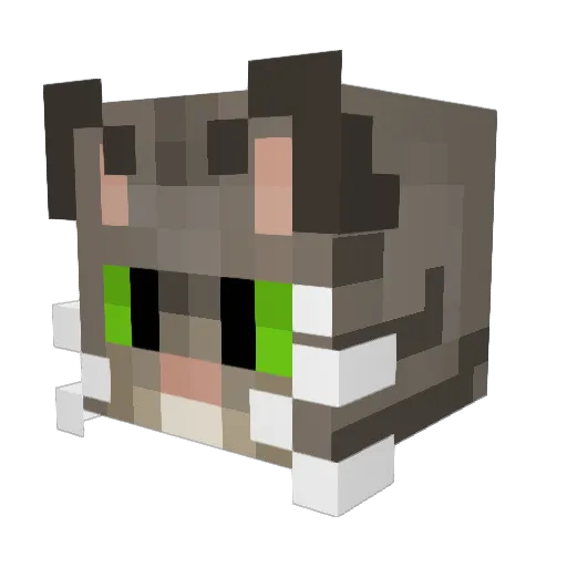 Vendievo Minecraft avatar head, 3D render