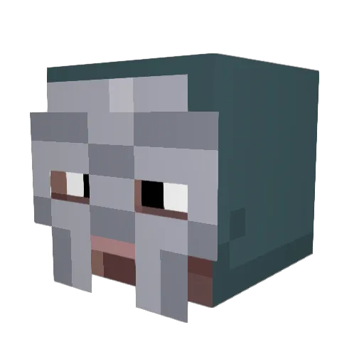 Vendreadx Minecraft avatar head, 3D render