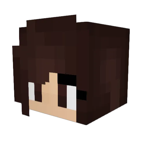 Vendredi Minecraft avatar head, 3D render