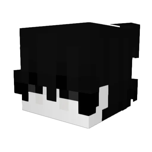 Vendxry Minecraft avatar head, 3D render