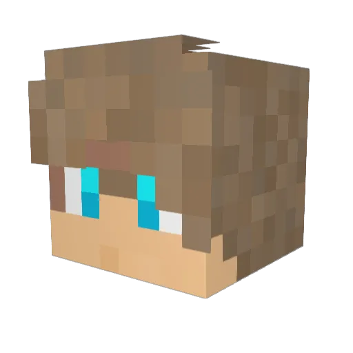 Venec8739 Minecraft avatar head, 3D render