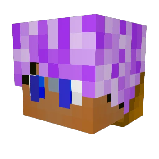 VenerableDark Minecraft avatar head, 3D render