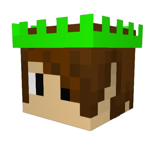 Veneratoria Minecraft avatar head, 3D render