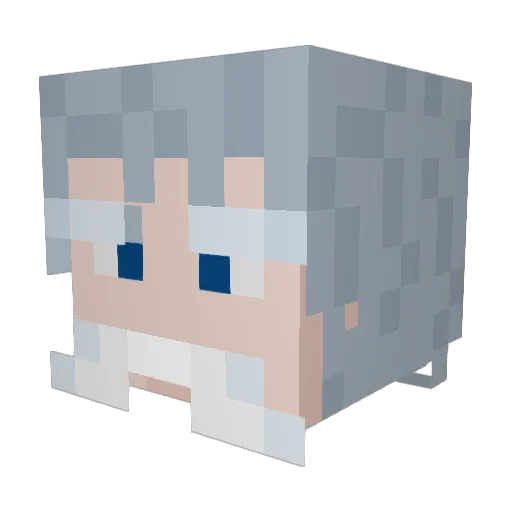 Venercroft Minecraft avatar head, 3D render