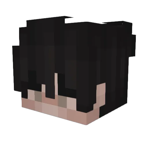 VenetoDoc Minecraft avatar head, 3D render