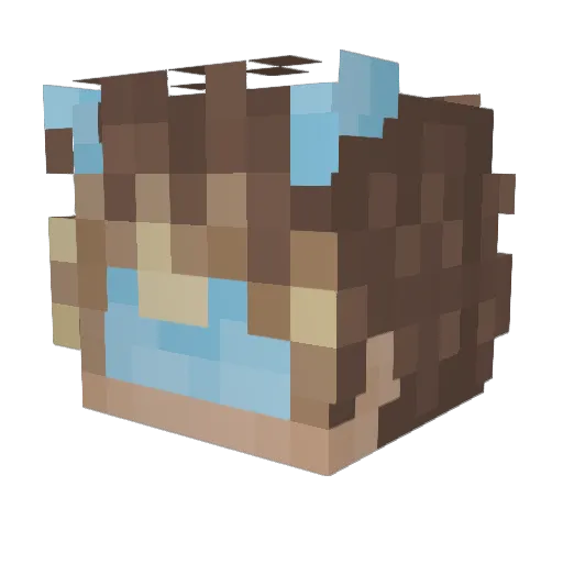 VenexterVX Minecraft avatar head, 3D render
