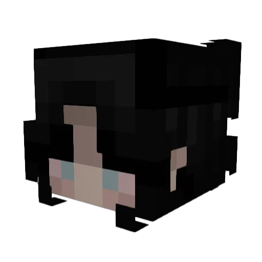 VengeanceYT Minecraft avatar head, 3D render