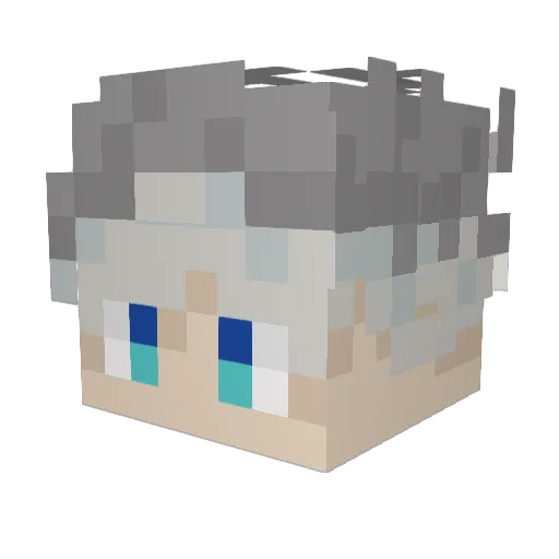 VengefulSpoon21 Minecraft avatar head, 3D render