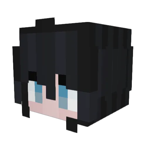 VeniceJ Minecraft avatar head, 3D render