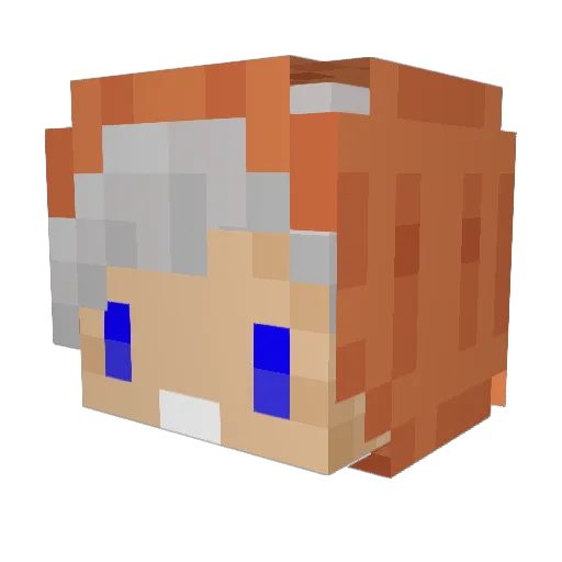 Venice_ Minecraft avatar head, 3D render
