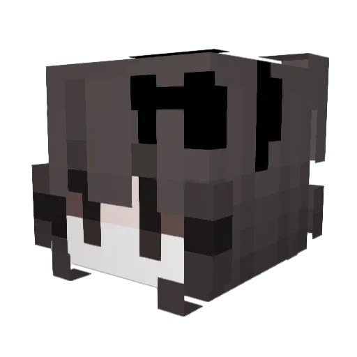 Venjia Minecraft avatar head, 3D render