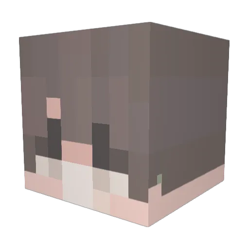 Venner3000 Minecraft avatar head, 3D render