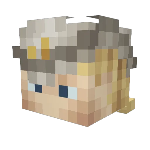 Vennnnr Minecraft avatar head, 3D render