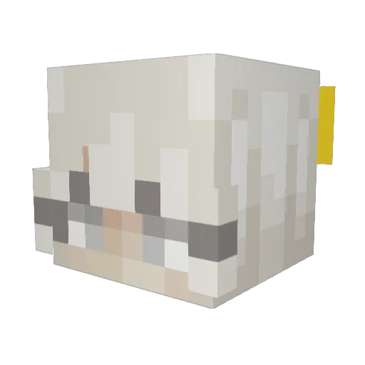 Venny_ven Minecraft avatar head, 3D render